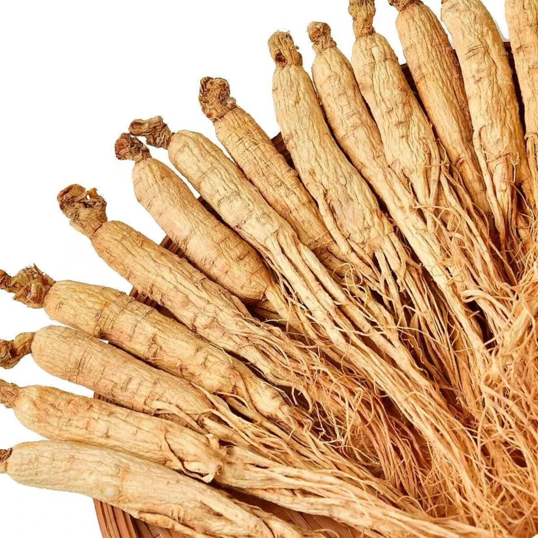 人参  农家土特产