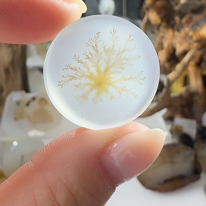 玛瑙/玉髓未镶嵌珠宝奇石