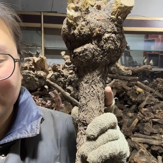 香榧木语**情火琉璃的毛料摆件