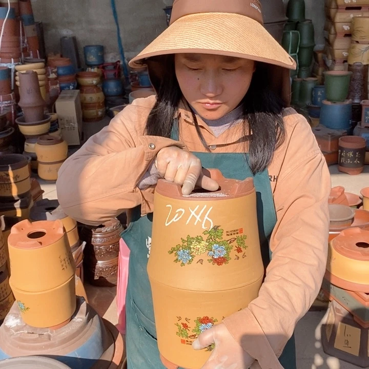 紫砂花盆盆栽花卉苗木种植