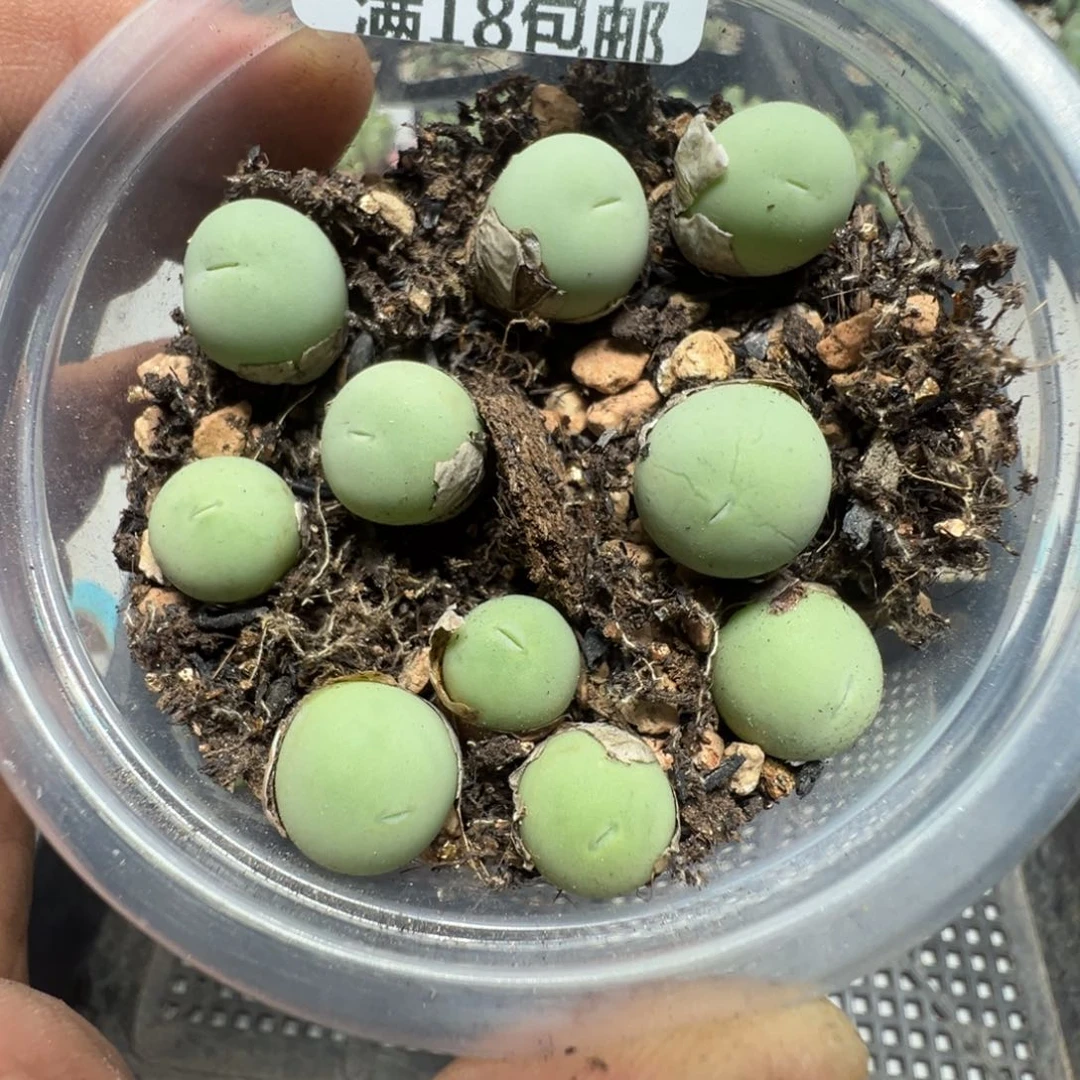 【闪购商品】 254。