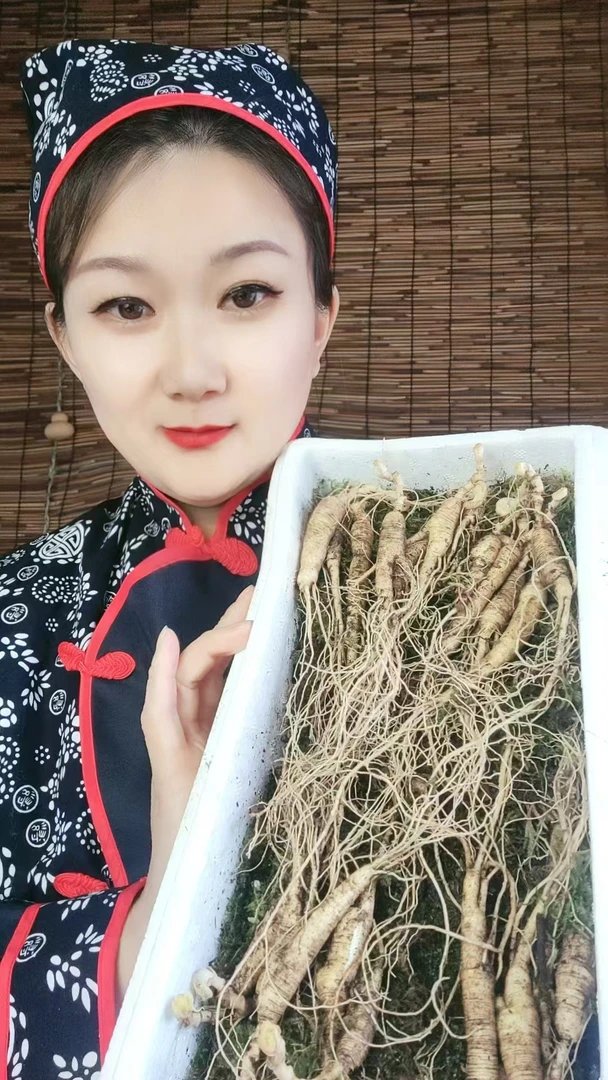 长白山新鲜林下参小籽货 煲汤泡水滋补养生
