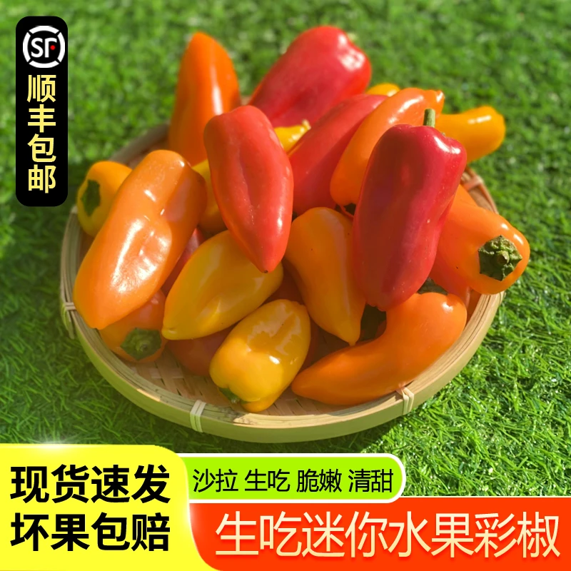 新鲜水果彩椒生吃甜椒迷你小辣椒 蔬菜沙拉健身食材顺丰包邮