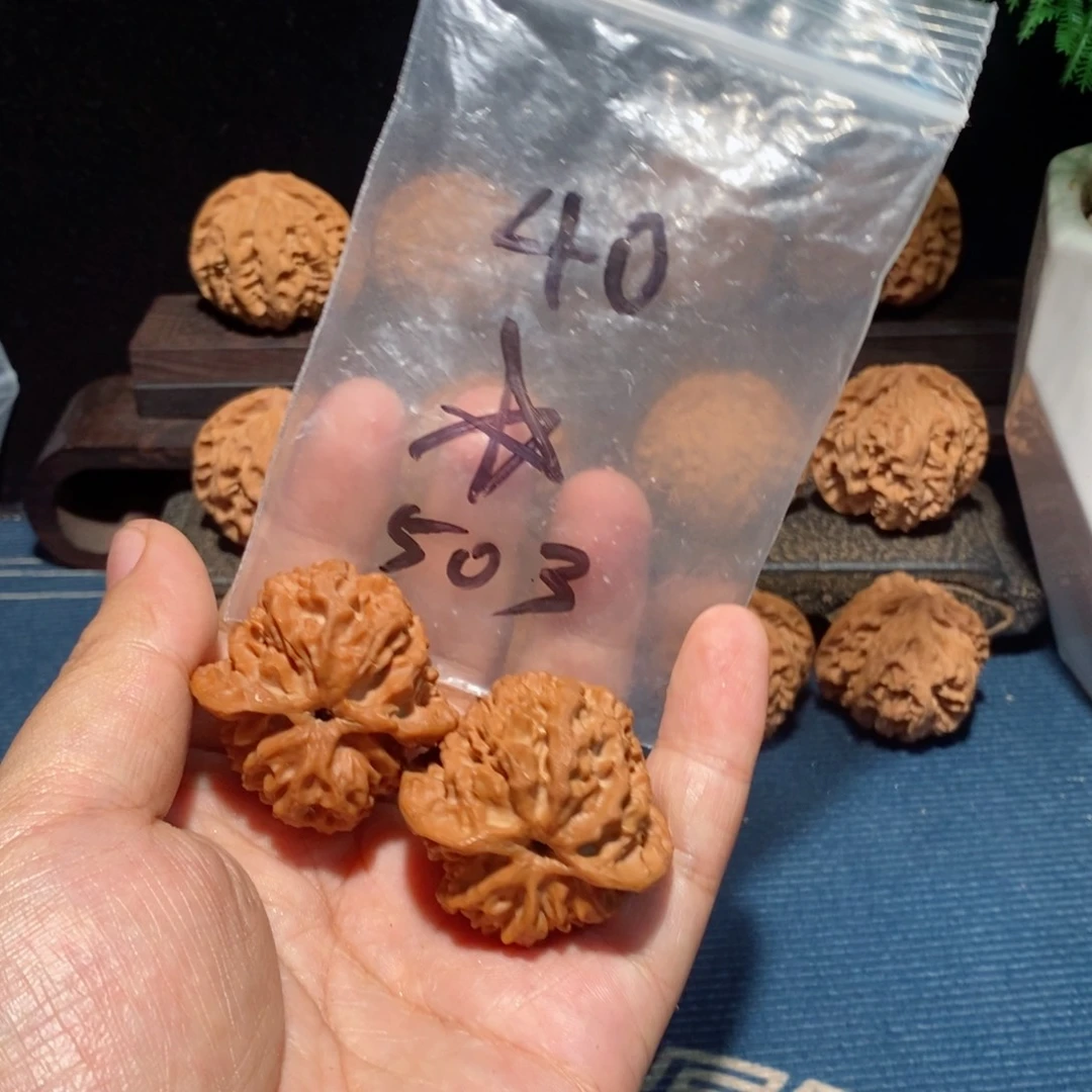 文玩核桃把件?****✨全品无修503
