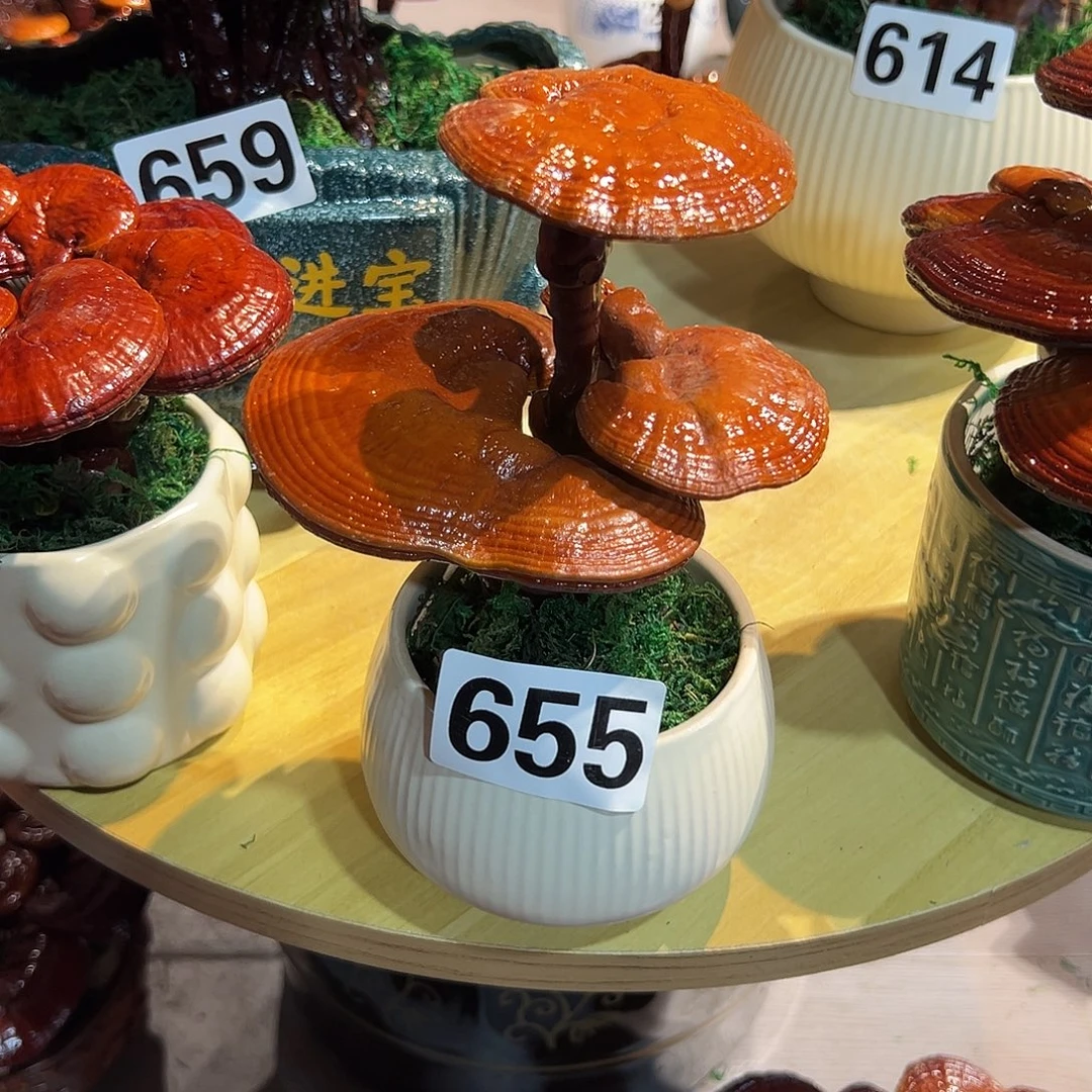 壹***人无花朵88888888888