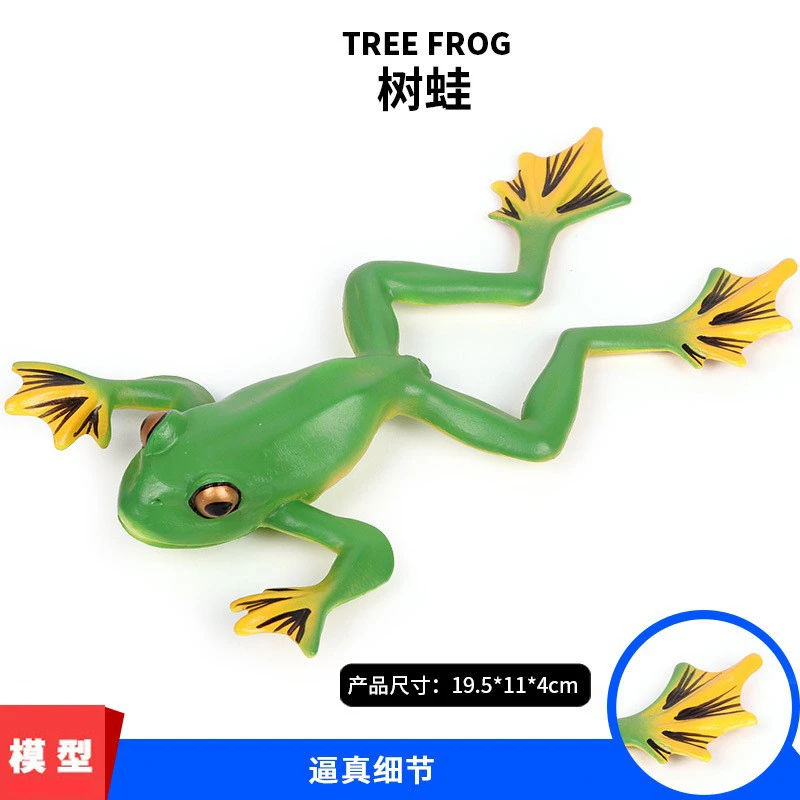 树蛙玩具青蛙模型小孩认知两栖动物实心硬胶滞