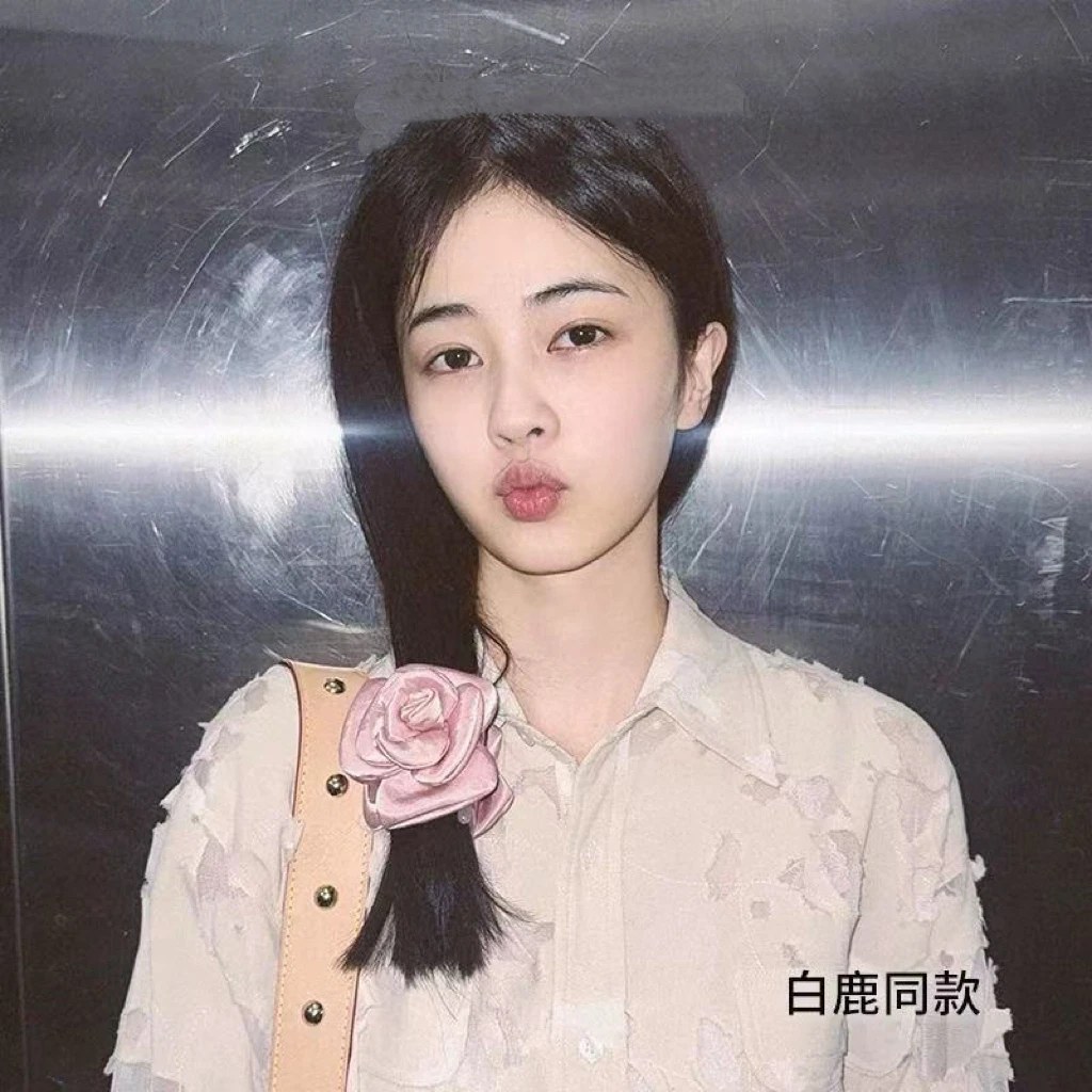 氛围感温柔浪漫立体花朵抓夹J2838