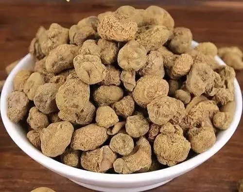 小黄土特产《高山女金丹》