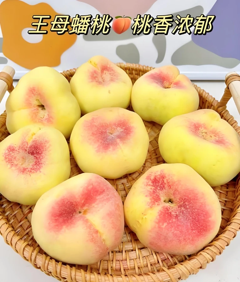 （只发新疆）王母蟠桃产地直发新鲜采摘石河子143蟠桃毛甜蜜多汁