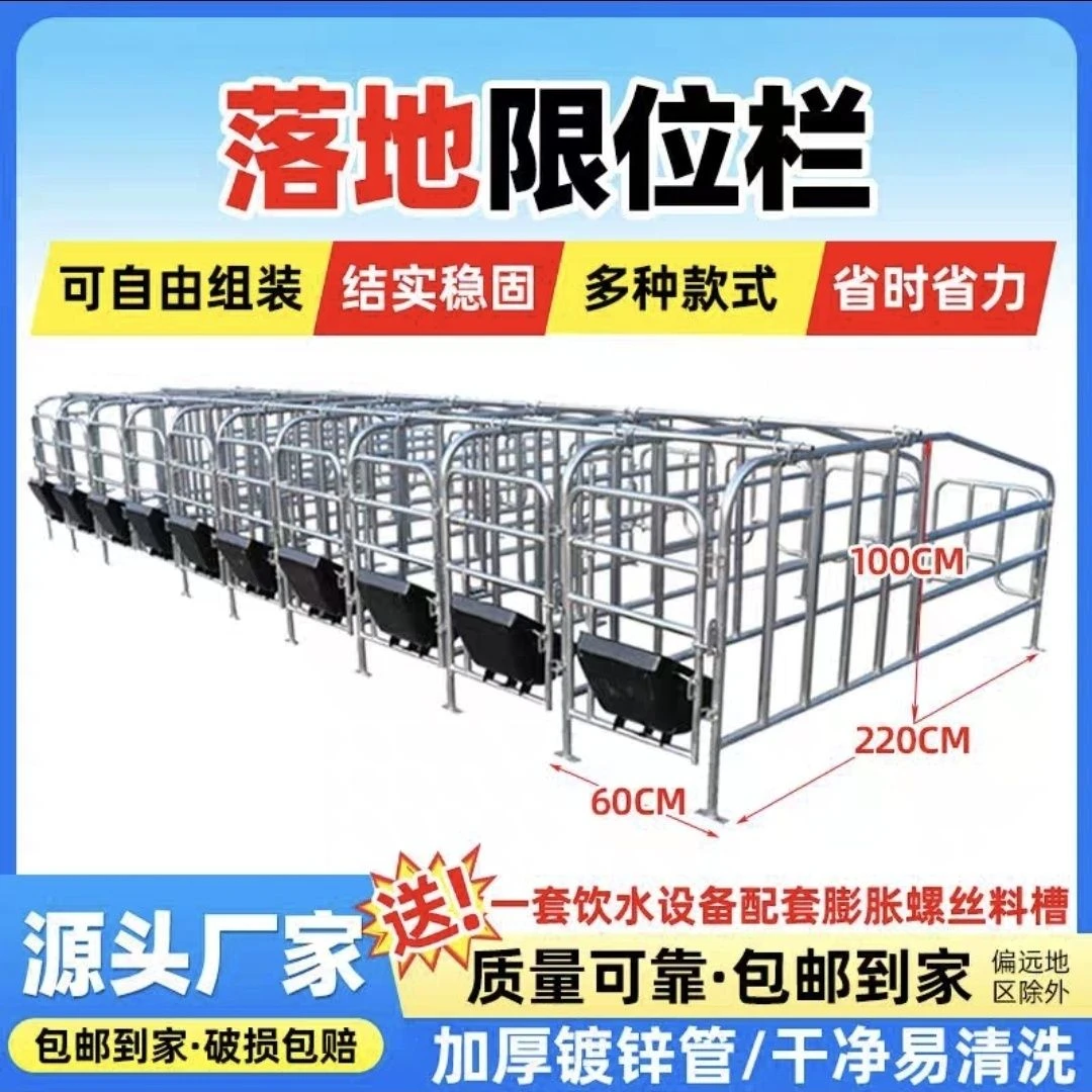 母猪定位栏限位栏加厚加重养猪场复合板漏粪板定位栏猪场专用设备