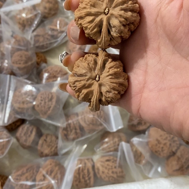 老*ヾ大粗筋大粗筋大粗筋