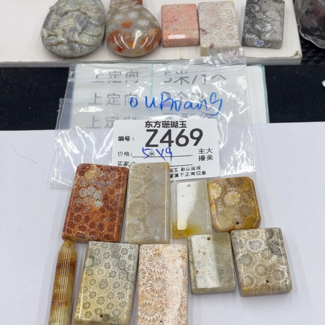 硅化珊瑚（珊瑚玉）合金颈饰O****g