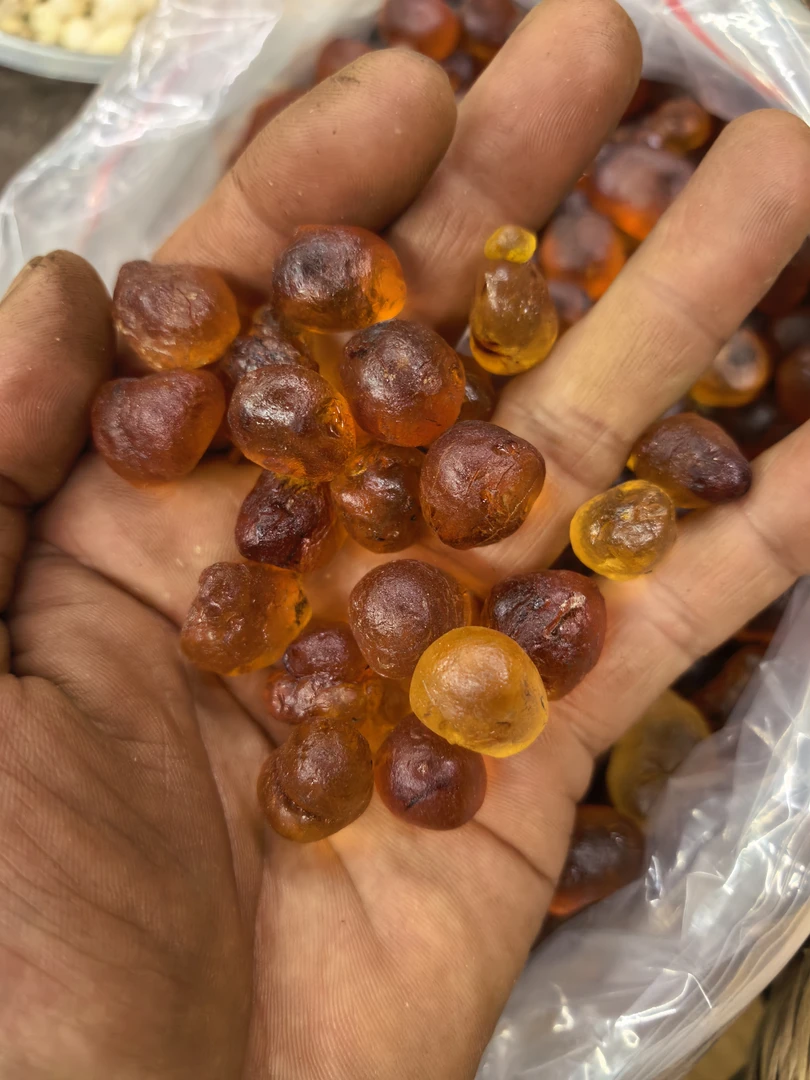 云南高山农家自摘天然桃胶