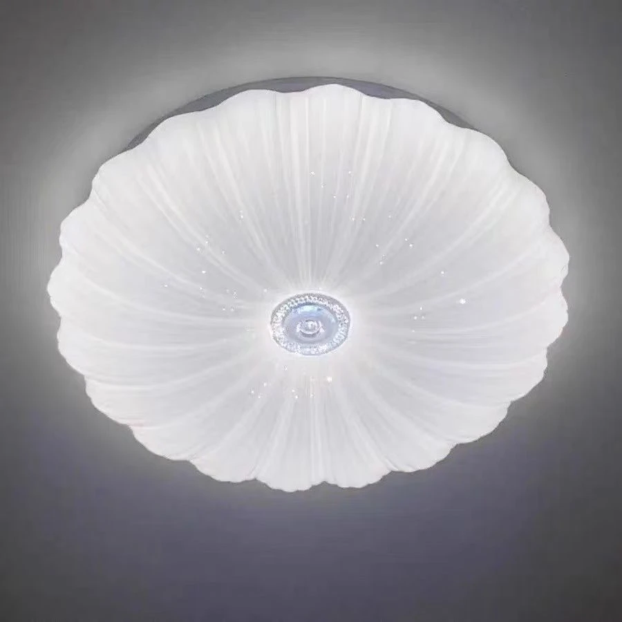 可遥控感应卧室铁艺吸顶灯创意阳台家用吸顶灯书房圆形房间灯饰