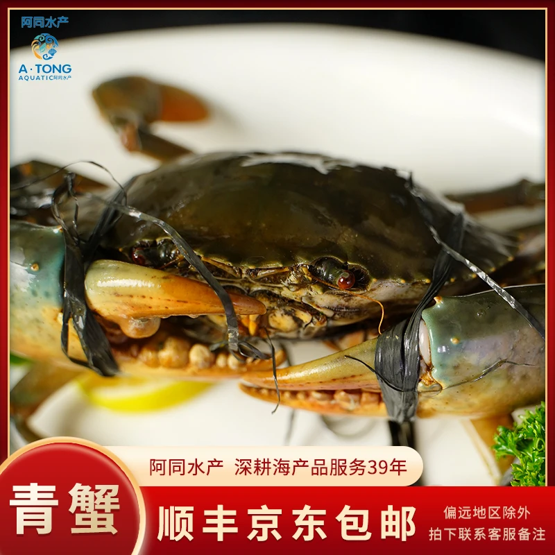 【阿同水产】新鲜青蟹肉嫩鲜甜
