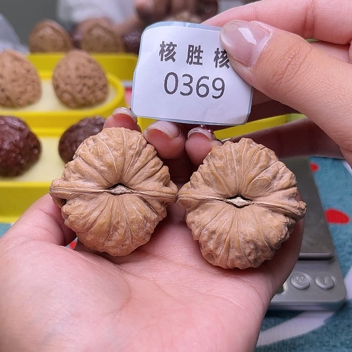 文玩核桃把件南瓜墩44.0369