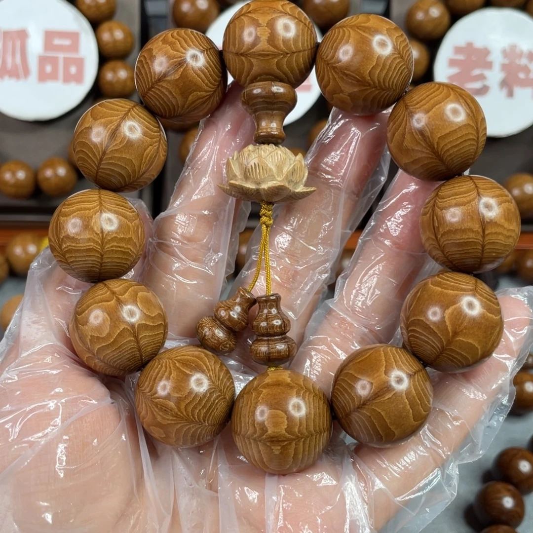 六道木陈化料，高货2.0