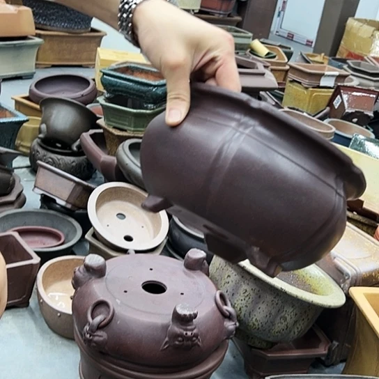 紫砂花盆中也能用这种天然