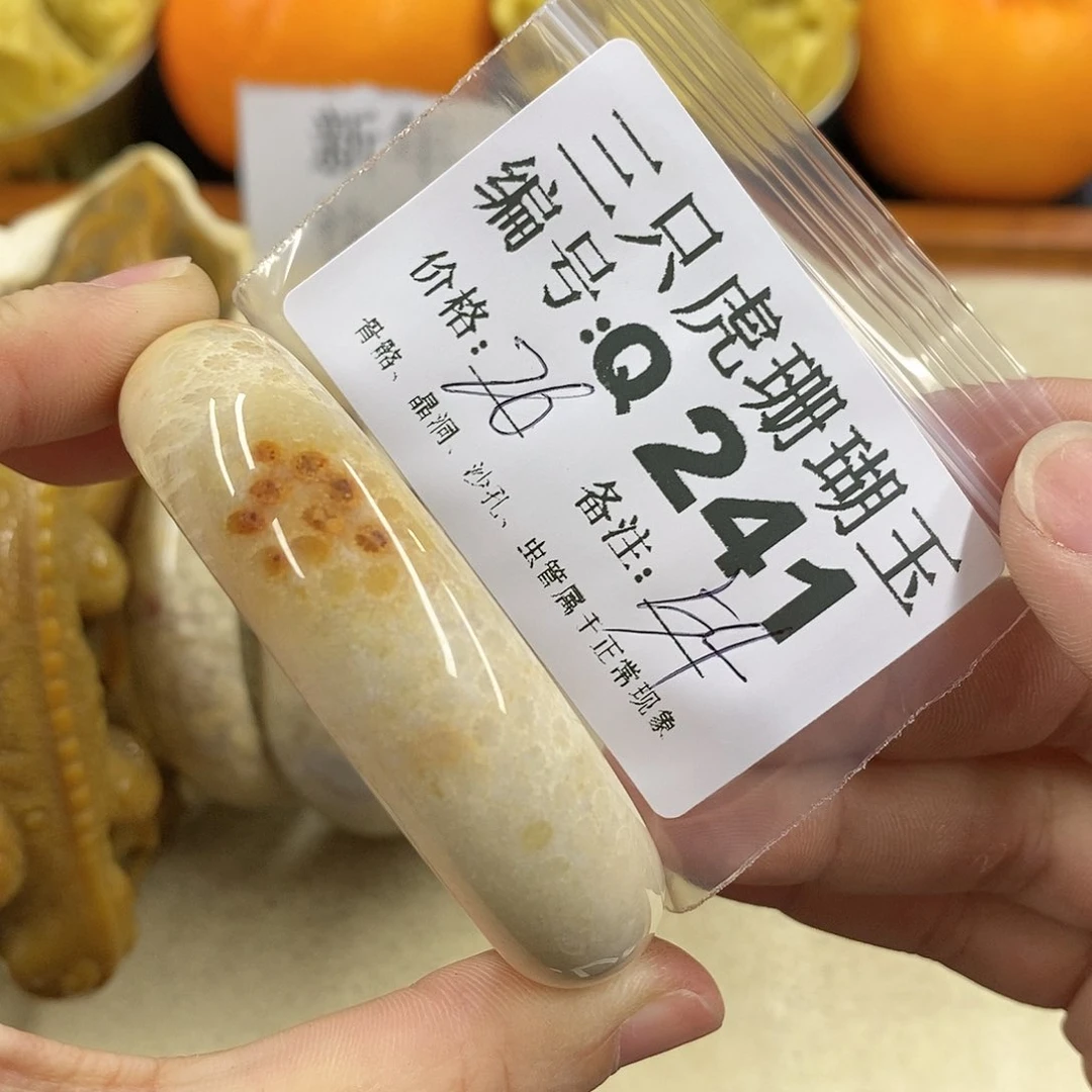 硅化珊瑚（珊瑚玉）1未镶嵌成*