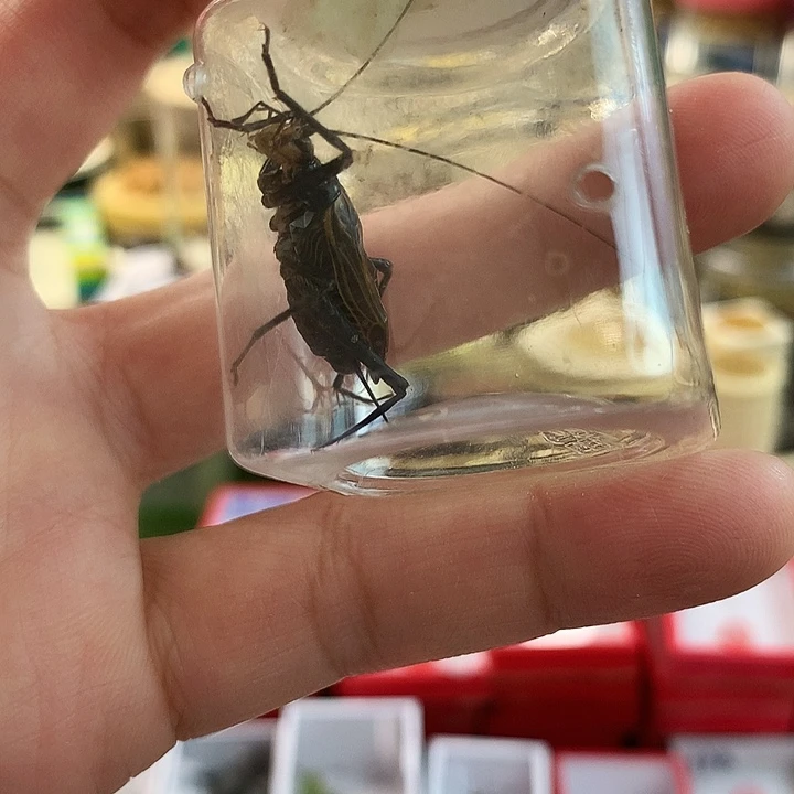 你***呀补差价麒麟一只啊啊啊