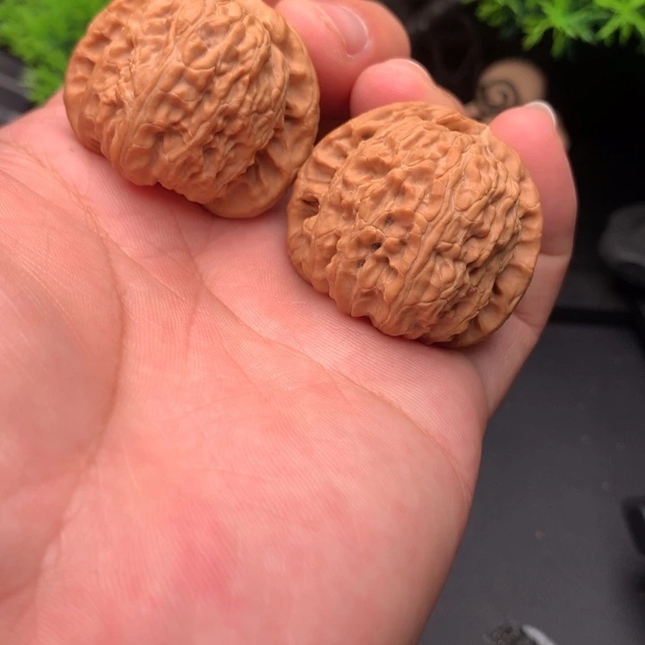 吊坠文玩核桃38尺白狮子