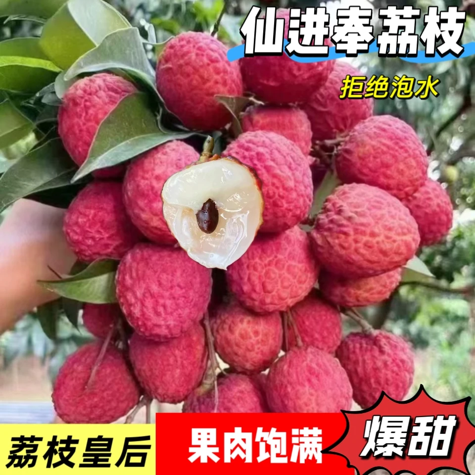 广西仙进奉荔枝新鲜现摘现发多汁当季水果带箱5/10斤装