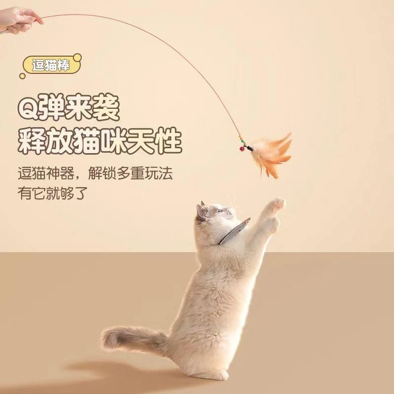 2根逗猫棒快乐玩耍