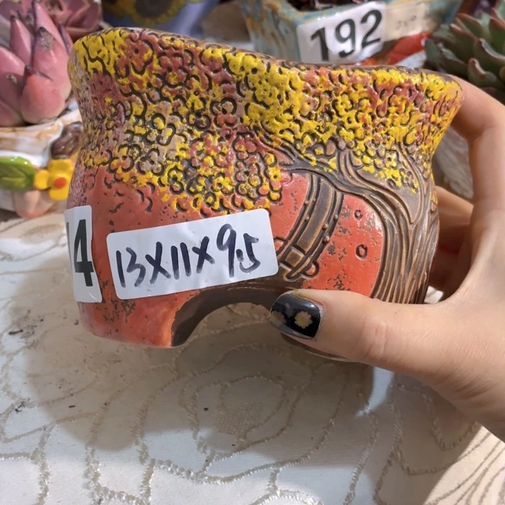 多肉花盆满15包邮