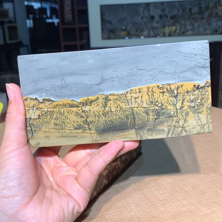 ，广西国画石摆件，收藏观赏