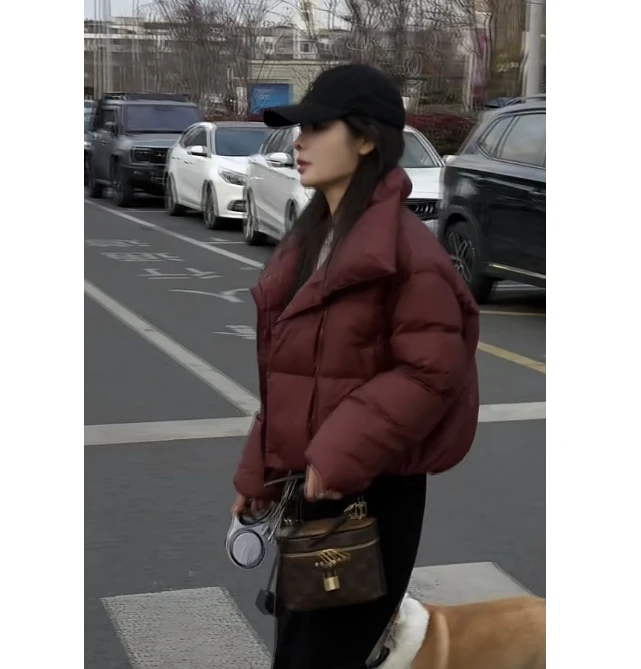 宿慕SUMU女款羽绒服12-23冬季2024年新款立领高级感羽绒服#88008