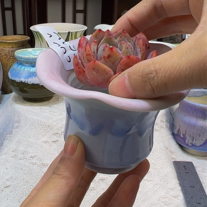 景德镇陶瓷研究所