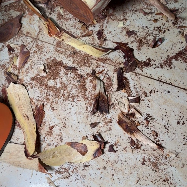 明***、木海南，海北飞灰尘。甘受商于仪诳楚