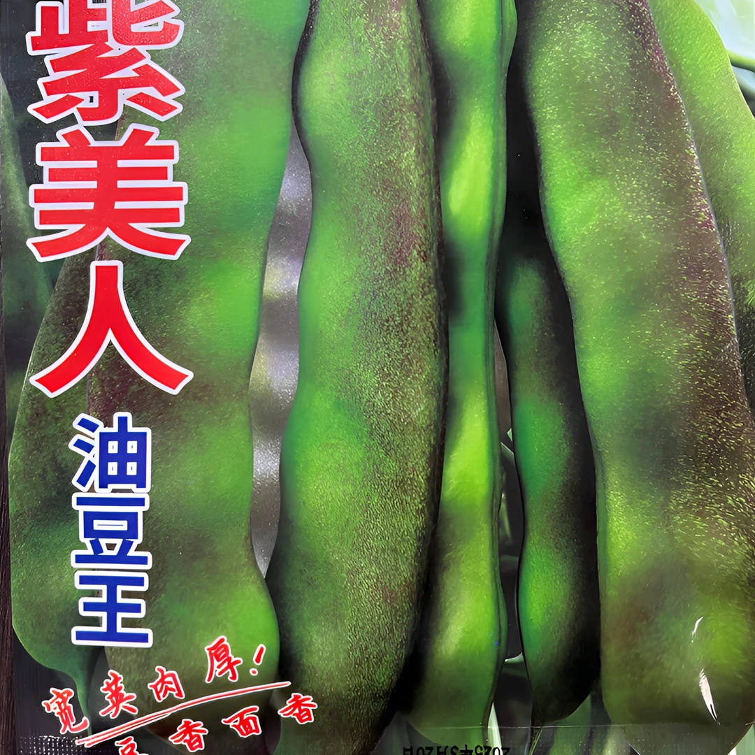 不用搭架地紫花油豆豆角种子无筋无柴好吃好种菜籽