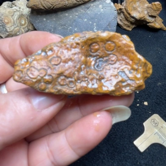 石材纯天然原石奇石100