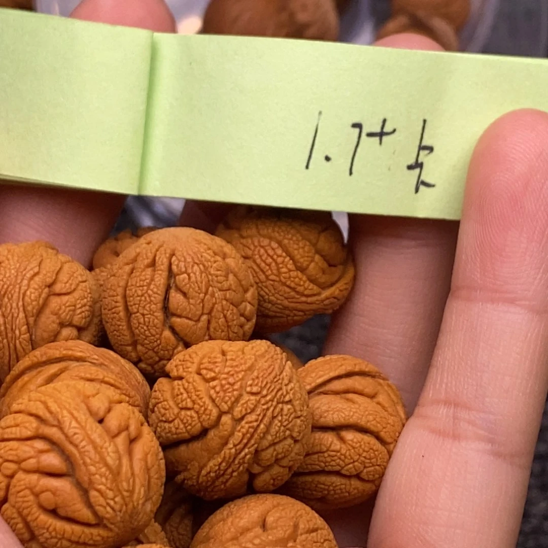 秦岭山脉龙纹桃核 15