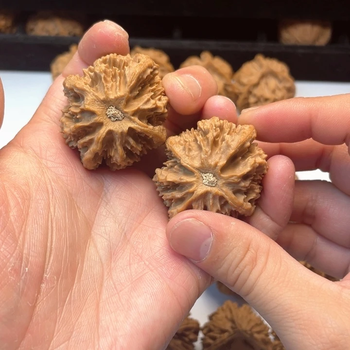 文玩核桃把件文玩城的小伙伴们都