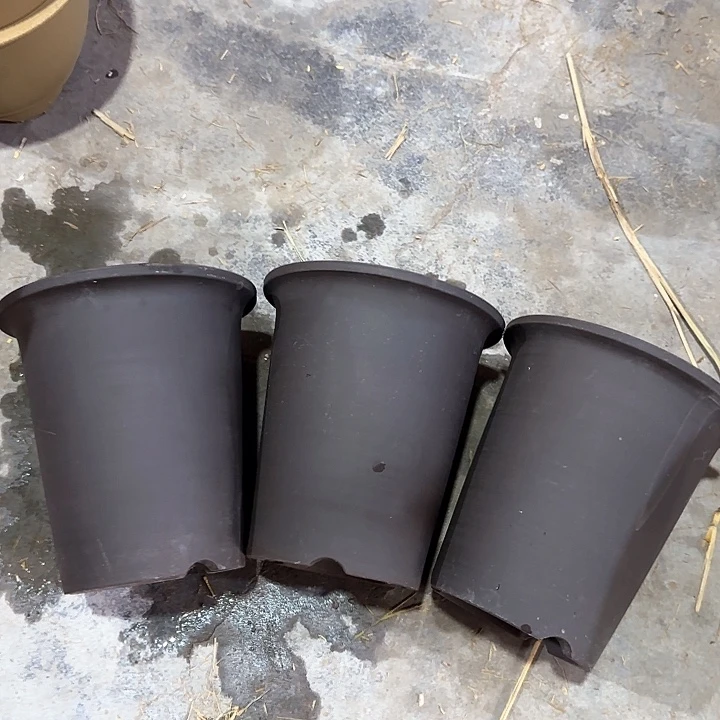 19×20三支定制款兰花盆特价