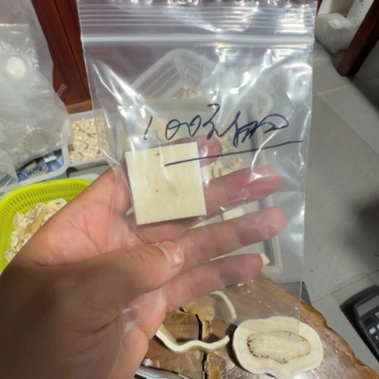 未镶嵌琥珀裸石特价处理