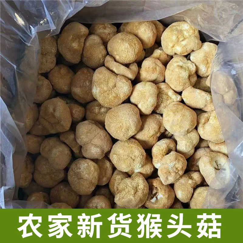 猴头菇 半斤装 农家新货