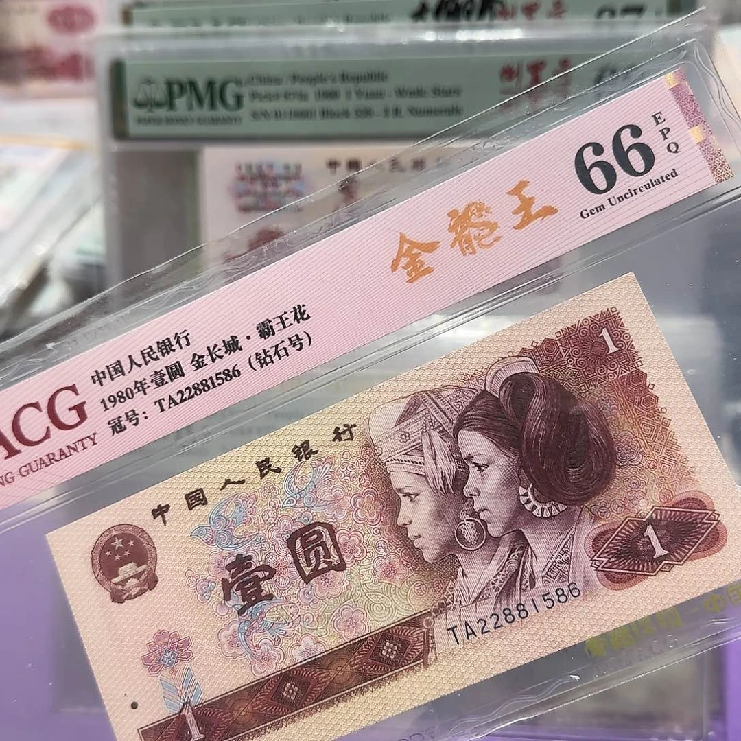 纸22881586。。。。金马王