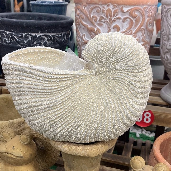 红陶高18宽23口11，123