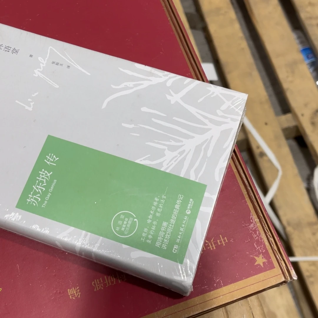 ╭***枝苏东坡转精装一个