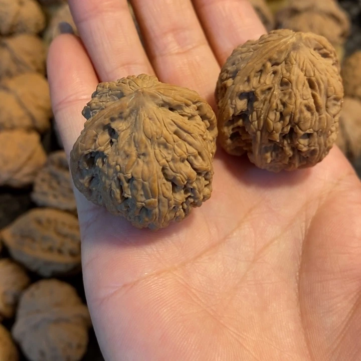 志秘闻秘闻秘闻秘闻秘闻