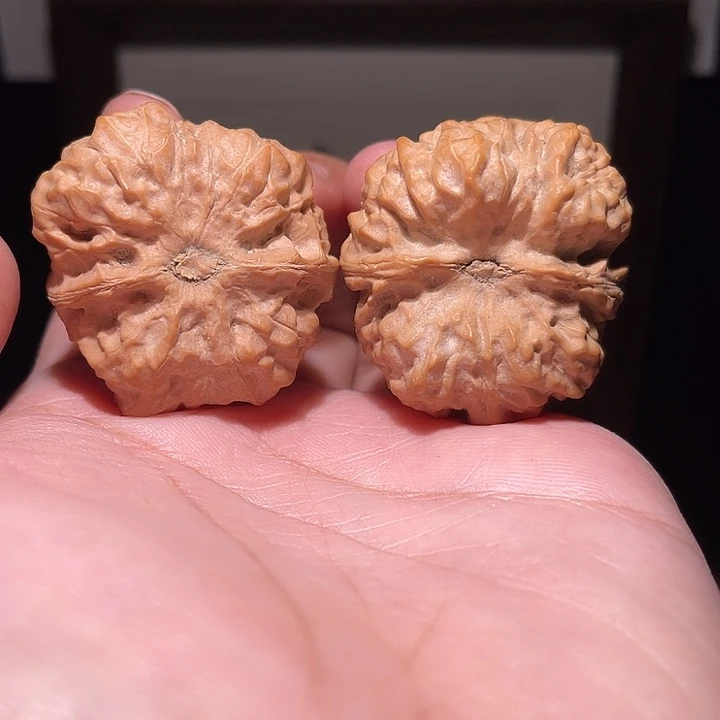 手串/手链核桃37×38