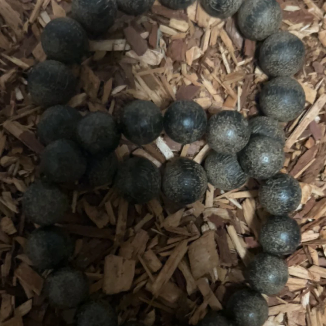 31 福来精选高端文玩