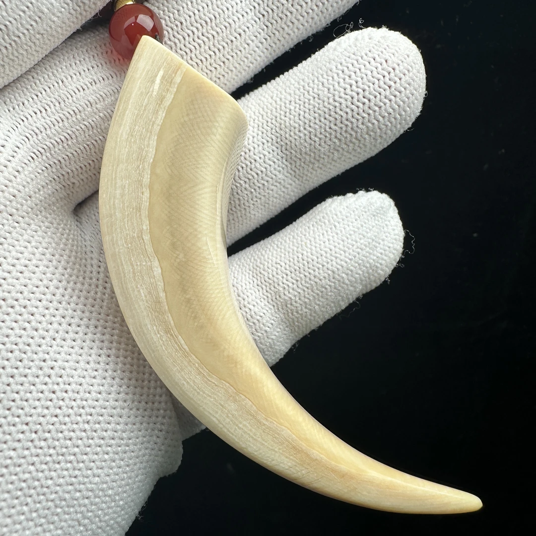 B1958天然猛犸牙牙尖80.8mm支持鉴定 假一罚四