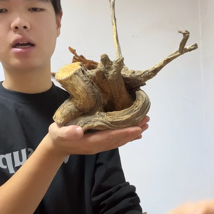 老***董柏木我是李静如我一般