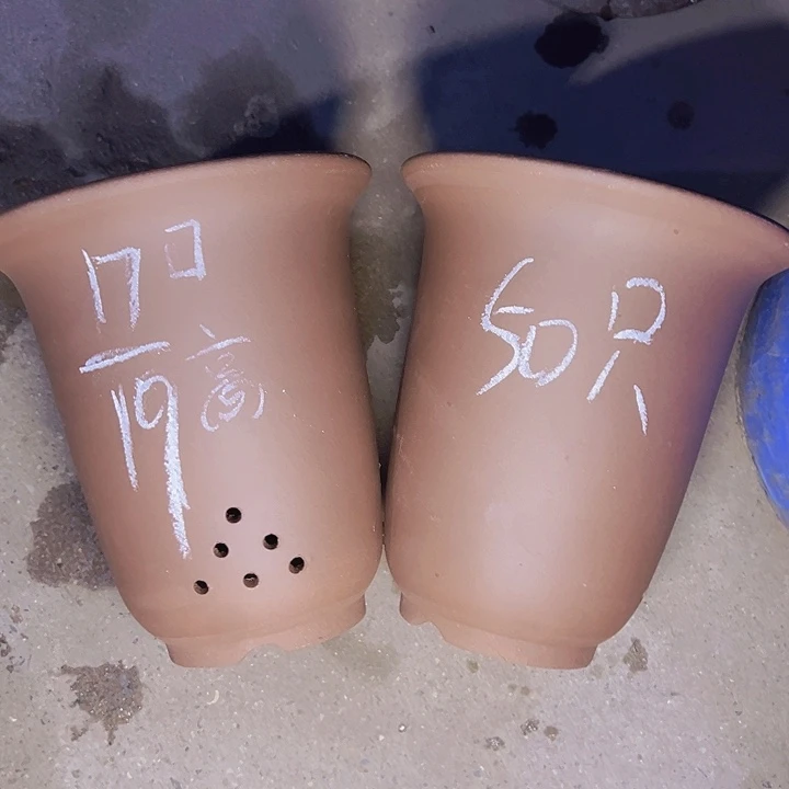 紫砂花盆周深周深周深周深周深