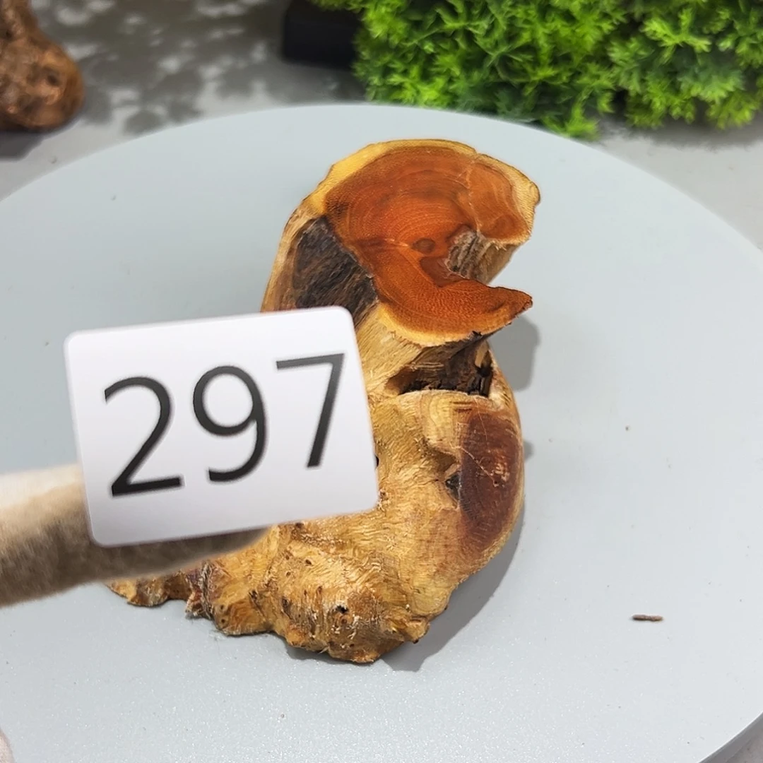 梨木潤火琉璃……火琉璃