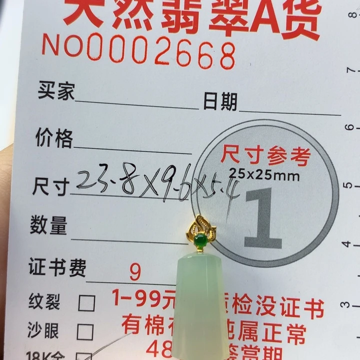 颈饰未镶嵌翡翠b**o吊坠